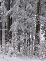                28. Oktober 2012 - Winterlandschaft auf Samuels Hügel                 